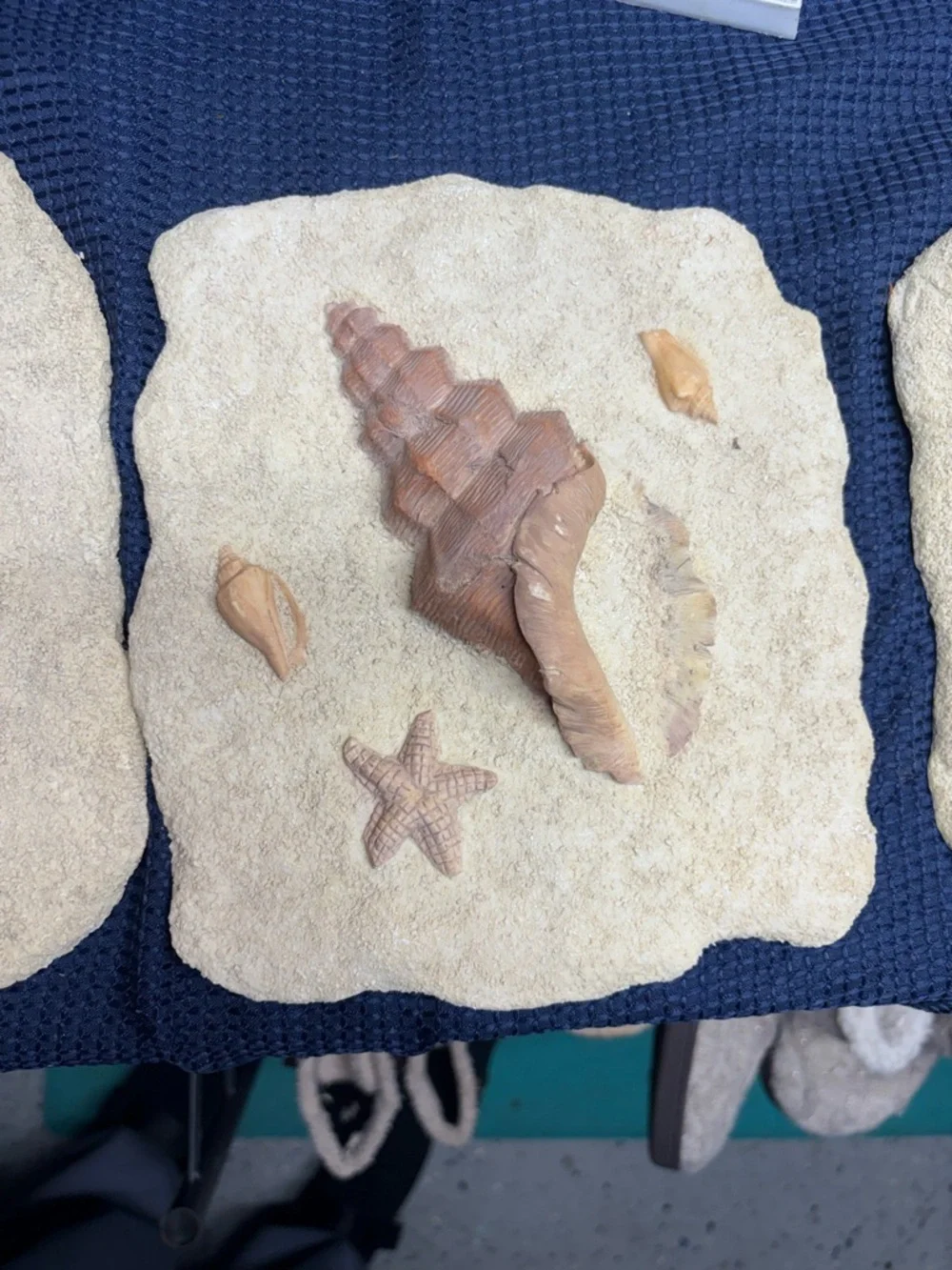 Seashell Decorative Wall Plaque Set - Sandstone Beige 3 pack